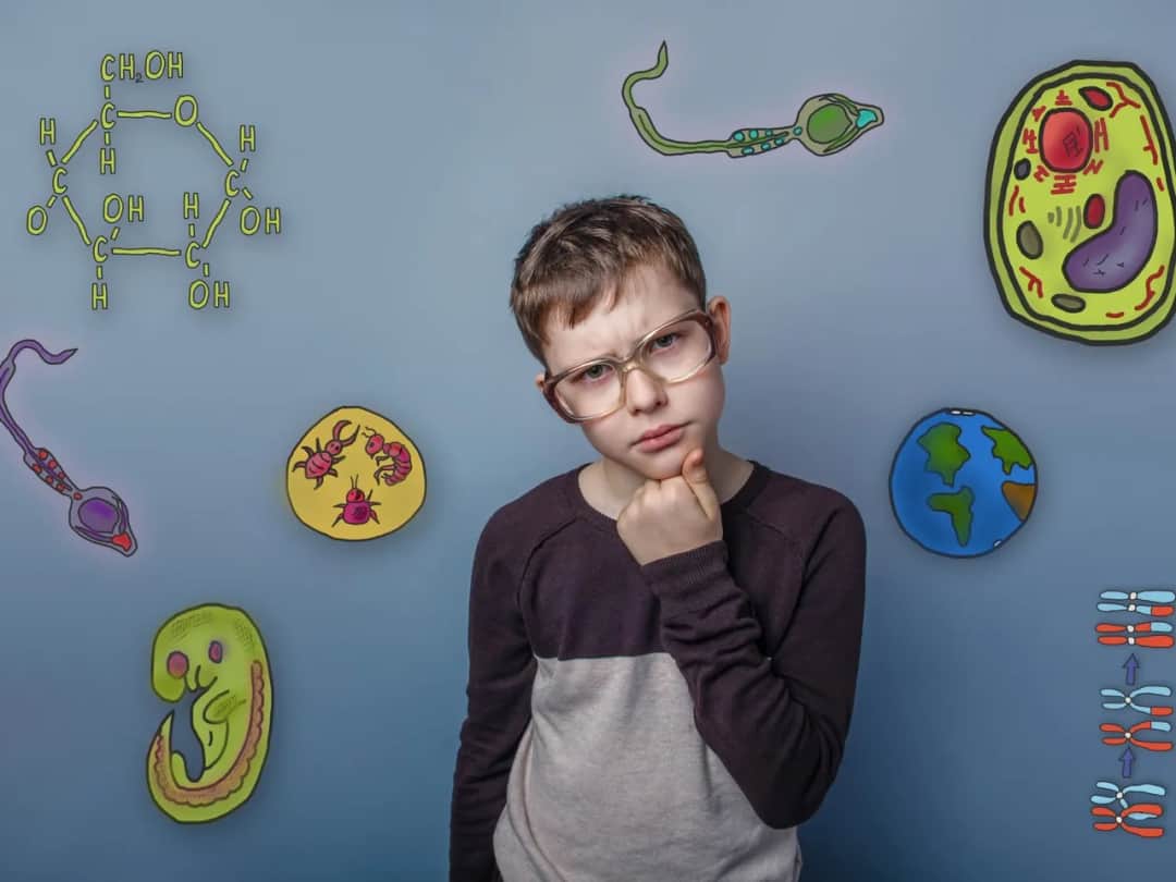 Pasożyty u dzieci: Leki, objawy, leczenie i profilaktyka poradnik